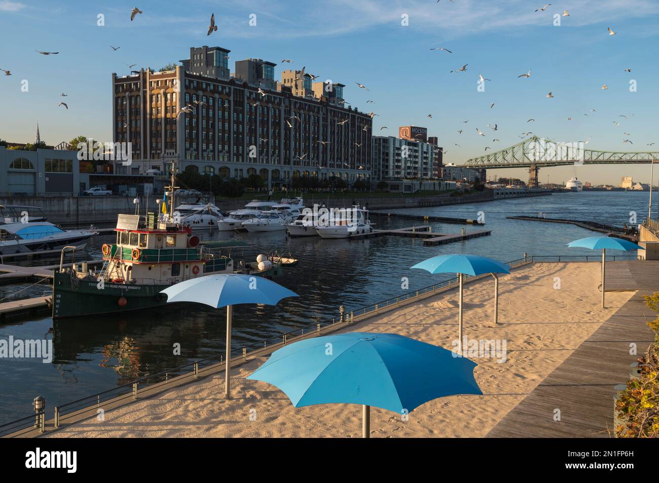 Marina e Sandy Beach con Molsen Building, Montreal, Quebec, Canada, Nord America Foto Stock