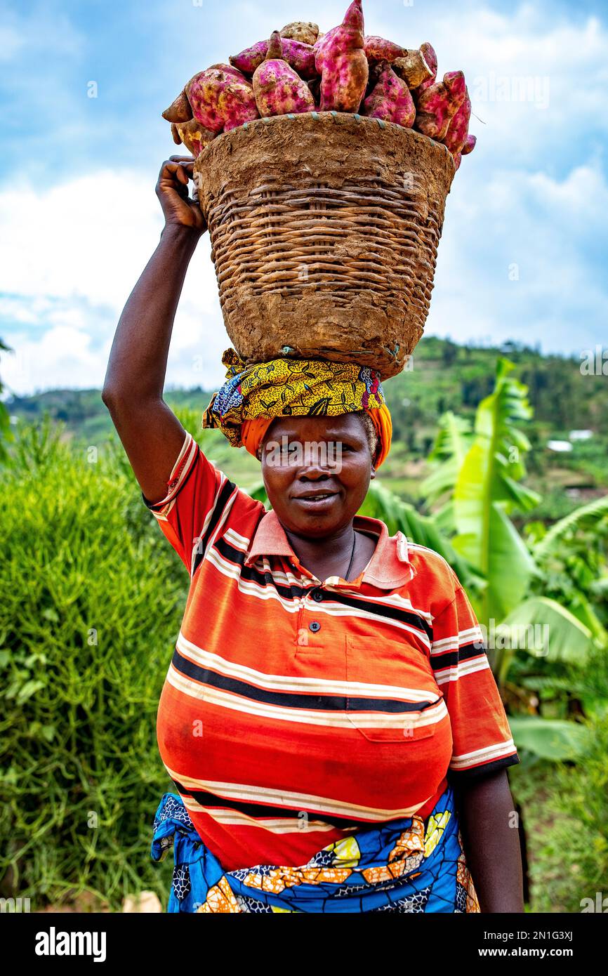 Donna che porta in testa un cestino di patate dolci nel Ruanda occidentale, in Africa Foto Stock