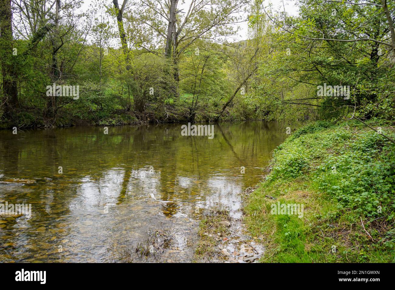 Fiume Arga, Navarra, Pamplona, Spagna. Foto Stock