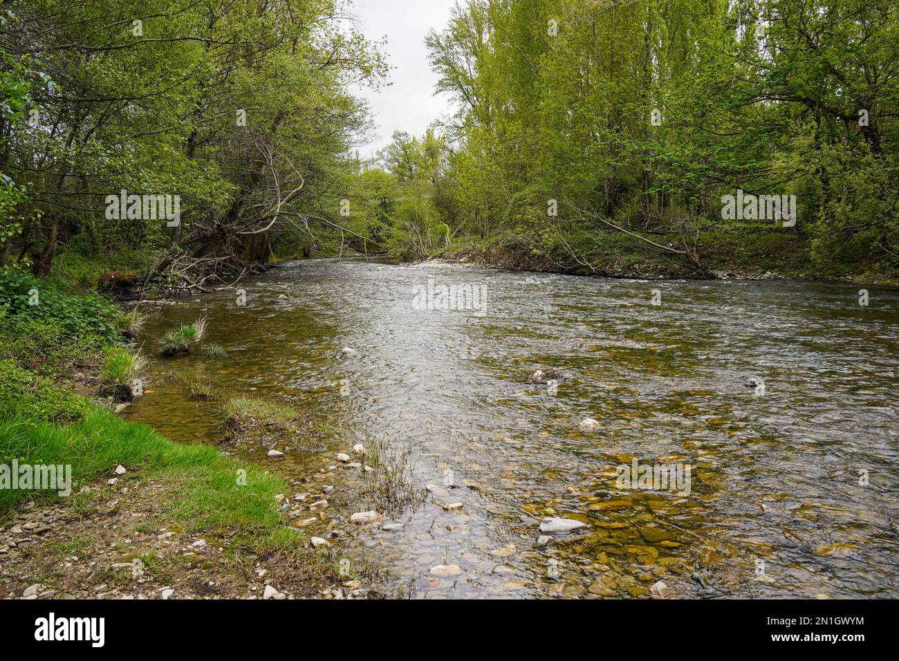 Fiume Arga, Navarra, Pamplona, Spagna. Foto Stock