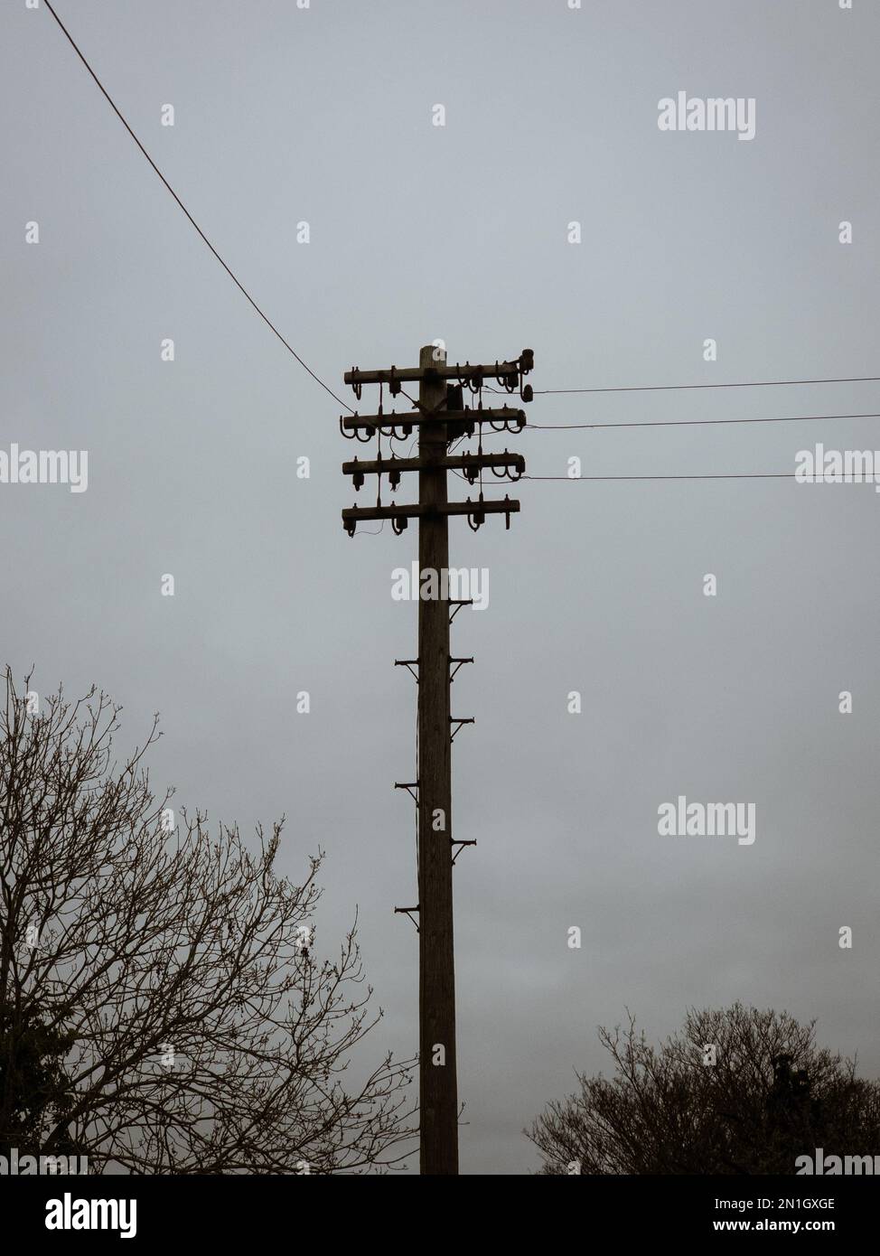 Uno scatto verticale di un vecchio palo del telefono in una giornata nuvolosa Foto Stock