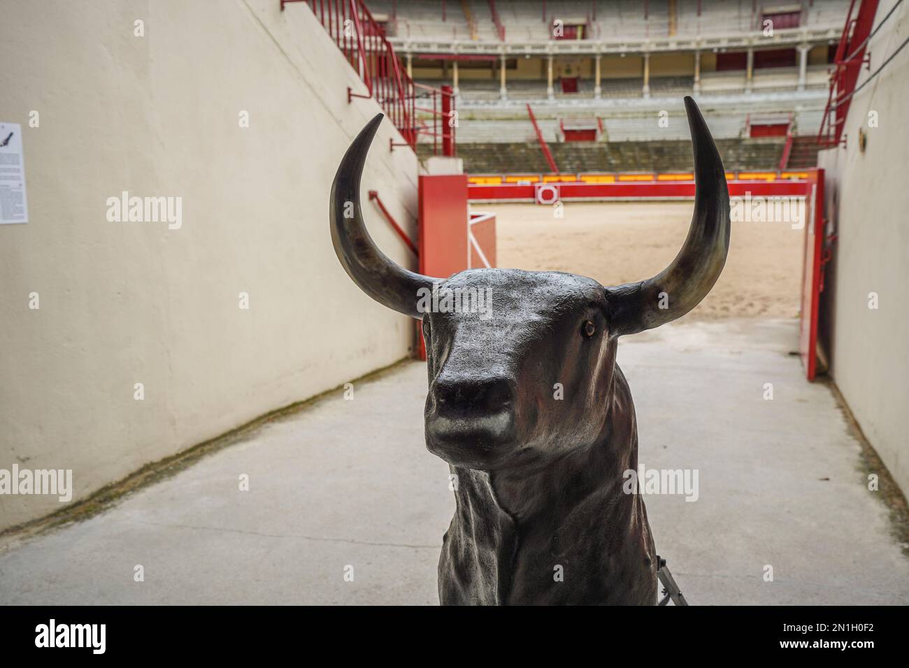 Pamplona Bullring, Plaza de Toros, con toro falso per la pratica, Pamplona, Navarra, Spagna. Foto Stock