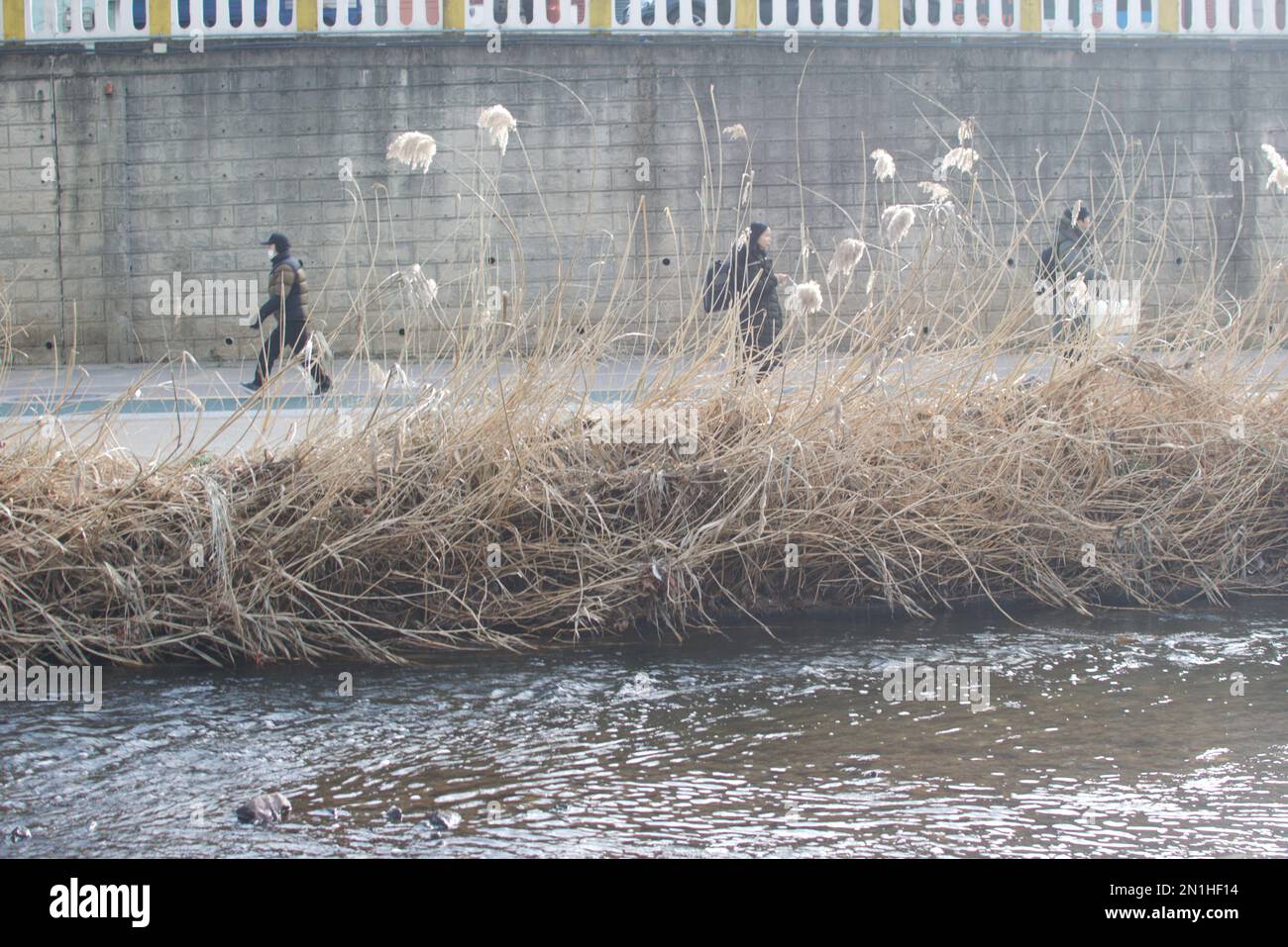 Vettore piatto camminare segno uomo isolato su sfondo bianco. Foto Stock