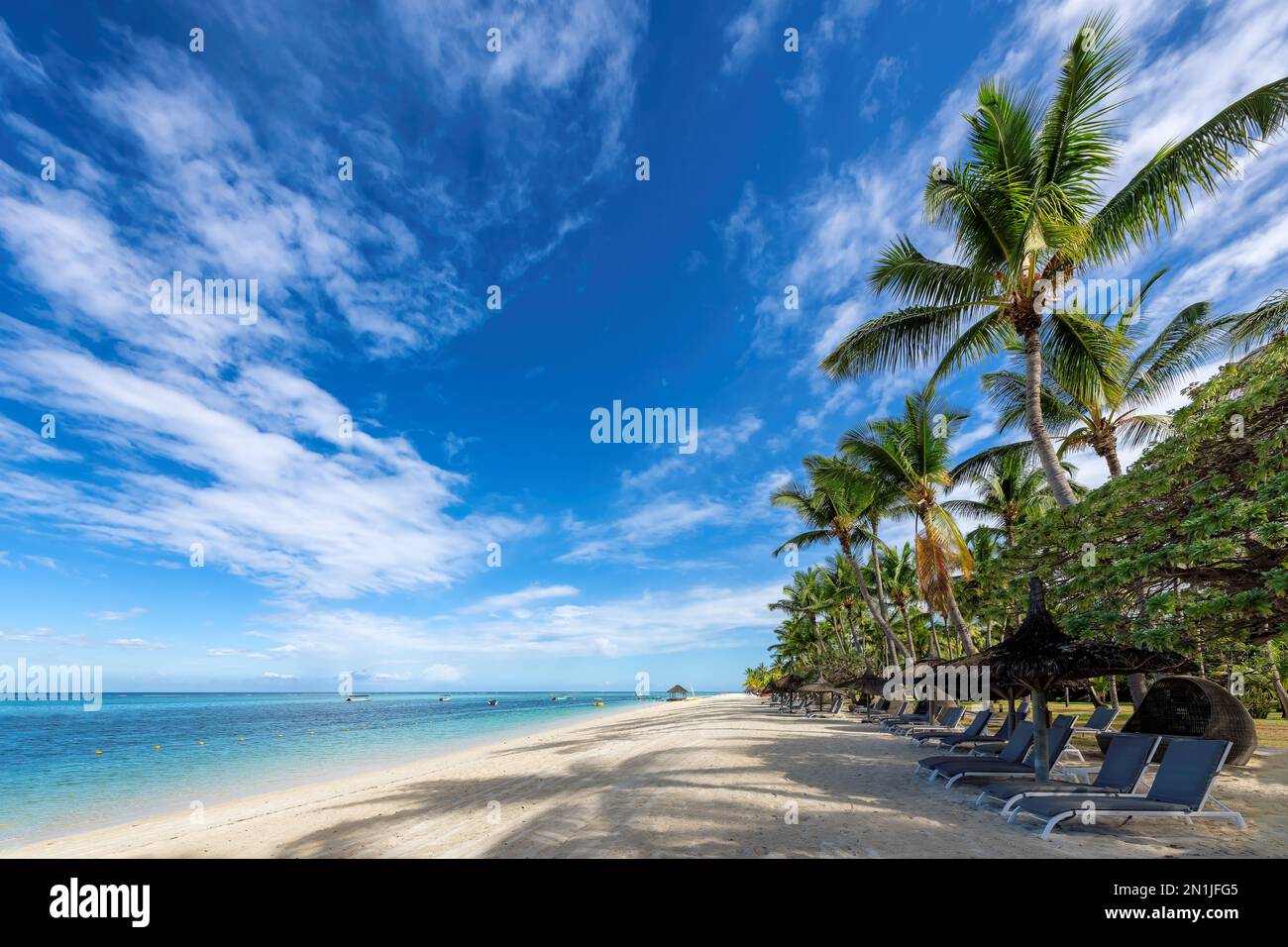 Alberi di palma in spiaggia tropicale soleggiata in resort tropicale e mare tropicale nell'isola di Mauritius. Foto Stock