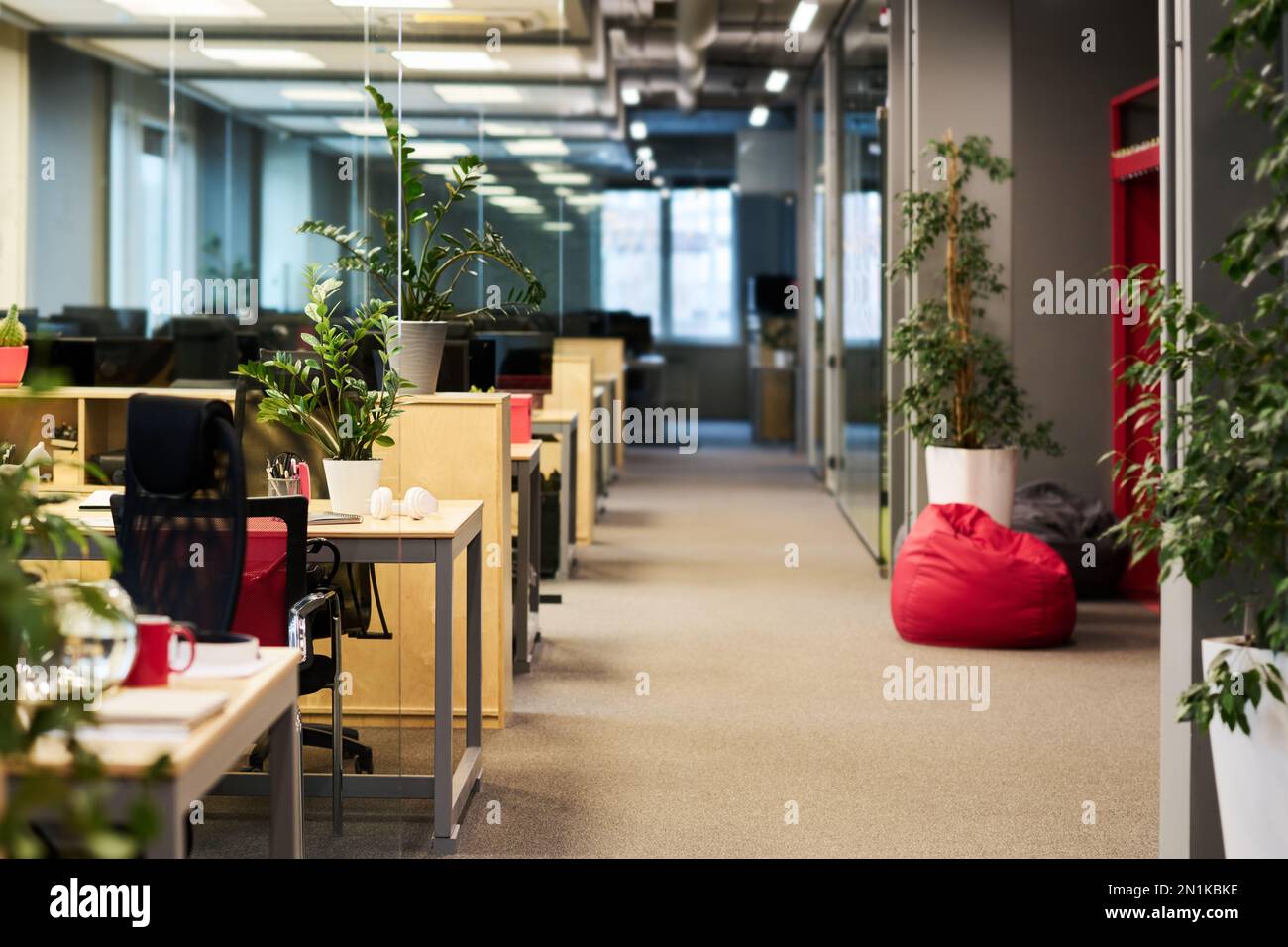 Parte di un ampio ufficio con navata lunga e fila di scrivanie con forniture per gli affari e piante verdi in piedi vicino alle pareti e sui luoghi di lavoro Foto Stock