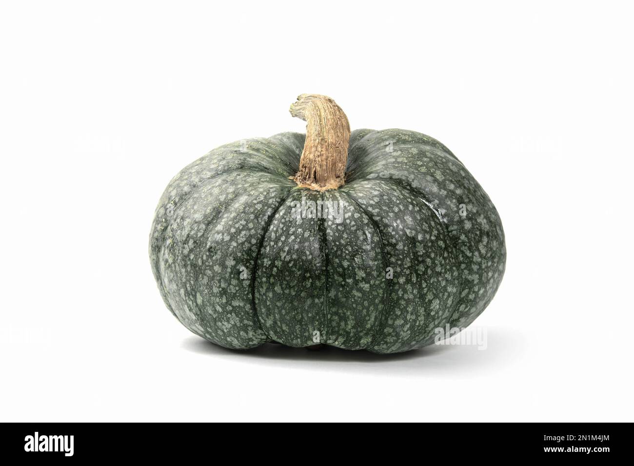 Zucca verde brutta e matura su sfondo bianco. Spreco organico di frutte overmature. Cibo brutto, frutta. Spazio di copia Foto Stock
