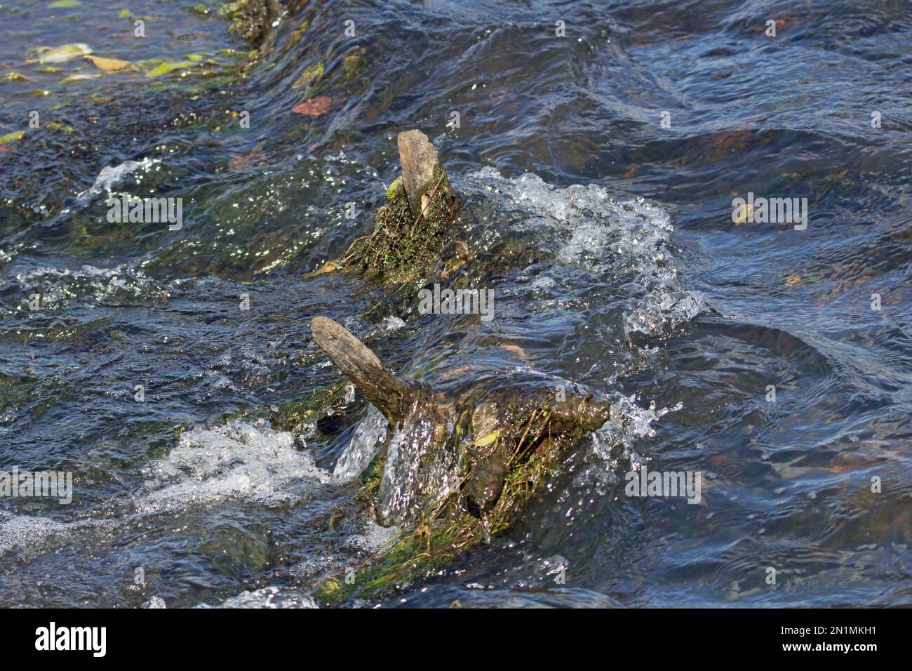 acqua gorgogliante intorno ai resti di una vecchia recinzione nel fiume Foto Stock