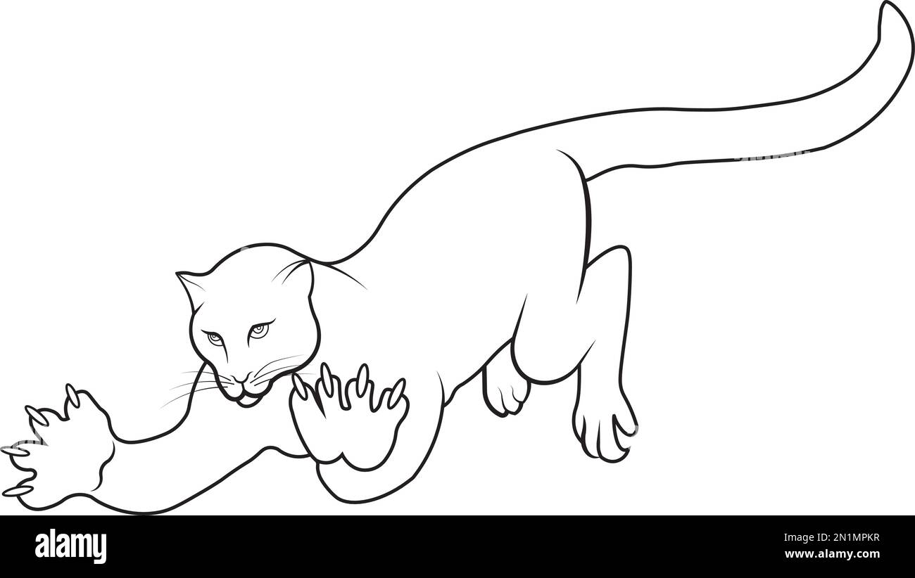 Disegno nero su bianco di un puma con artigli pronti ad afferrare la sua preda Illustrazione Vettoriale