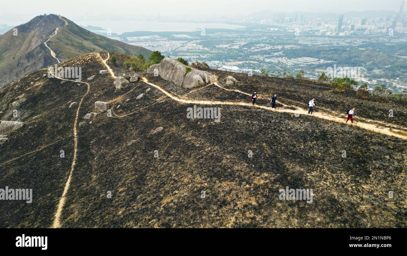 Segui il fuoco di montagna in caso di clima secco al sentiero Kai Kung Leng nel Lam Tsuen Country Park, Yuen Long, un giorno dopo un grave incendio in collina che ha colpito la catena montuosa di 585 metri. 26JAN23. SCMP/Dickson Lee Foto Stock