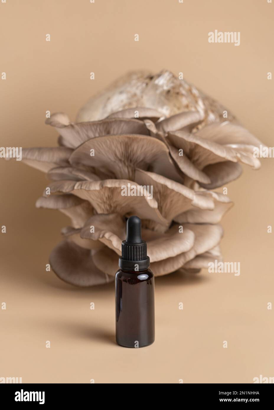 Bottiglia di vetro ambrato scuro con olio essenziale contro funghi di ostrica organici Foto Stock