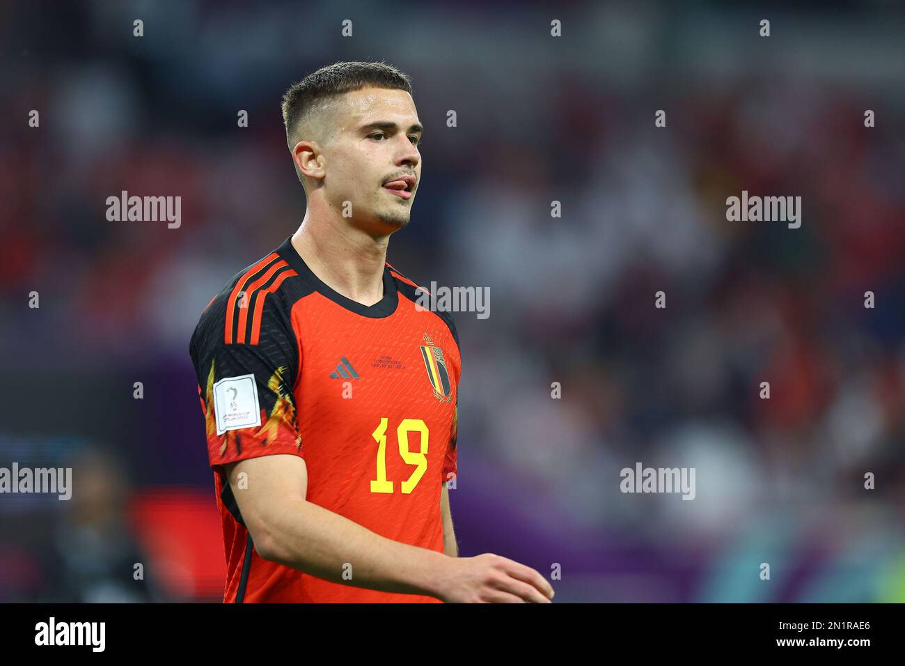 DOHA, QATAR - 23 NOVEMBRE: Leander Dendoncker durante la Coppa del mondo FIFA Qatar 2022 Group F match tra Belgio e Canada allo stadio Ahmad Bin Ali il 23 novembre 2022 a Doha, Qatar. (Foto di MB Media) Foto Stock