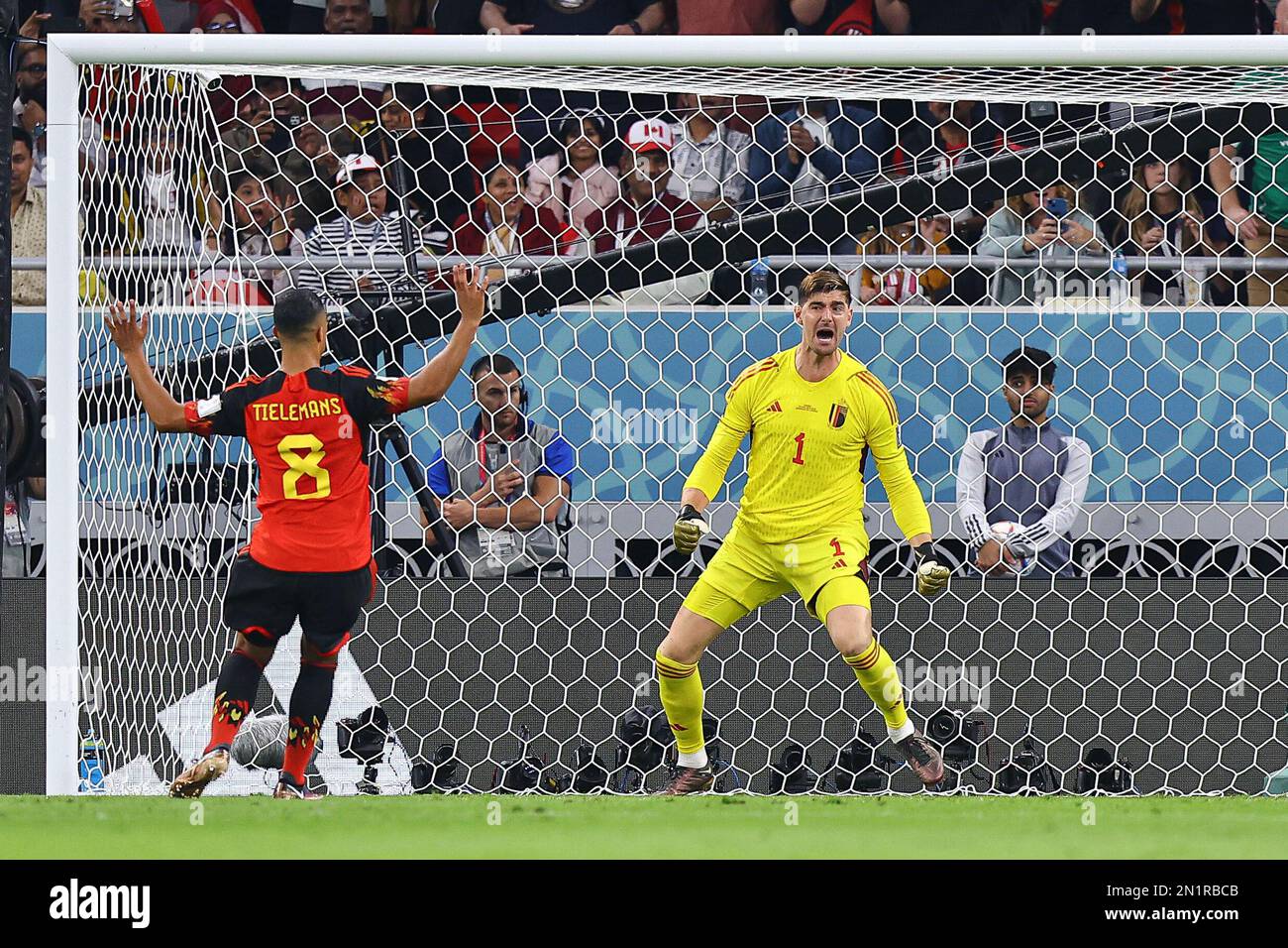 DOHA, QATAR - 23 NOVEMBRE: Thibaut Courtois, salvare calcio di punizione durante la Coppa del mondo FIFA Qatar 2022 Group F match tra Belgio e Canada allo stadio Ahmad Bin Ali il 23 novembre 2022 a Doha, Qatar. (Foto di MB Media) Foto Stock