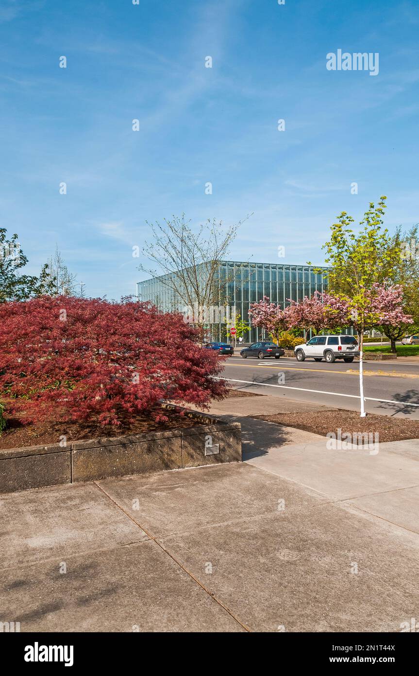Campus dell'Università dell'Oregon di Eugene, Oregon. Il John E. Jaqua Center for Student Athletes Building è sullo sfondo. Foto Stock