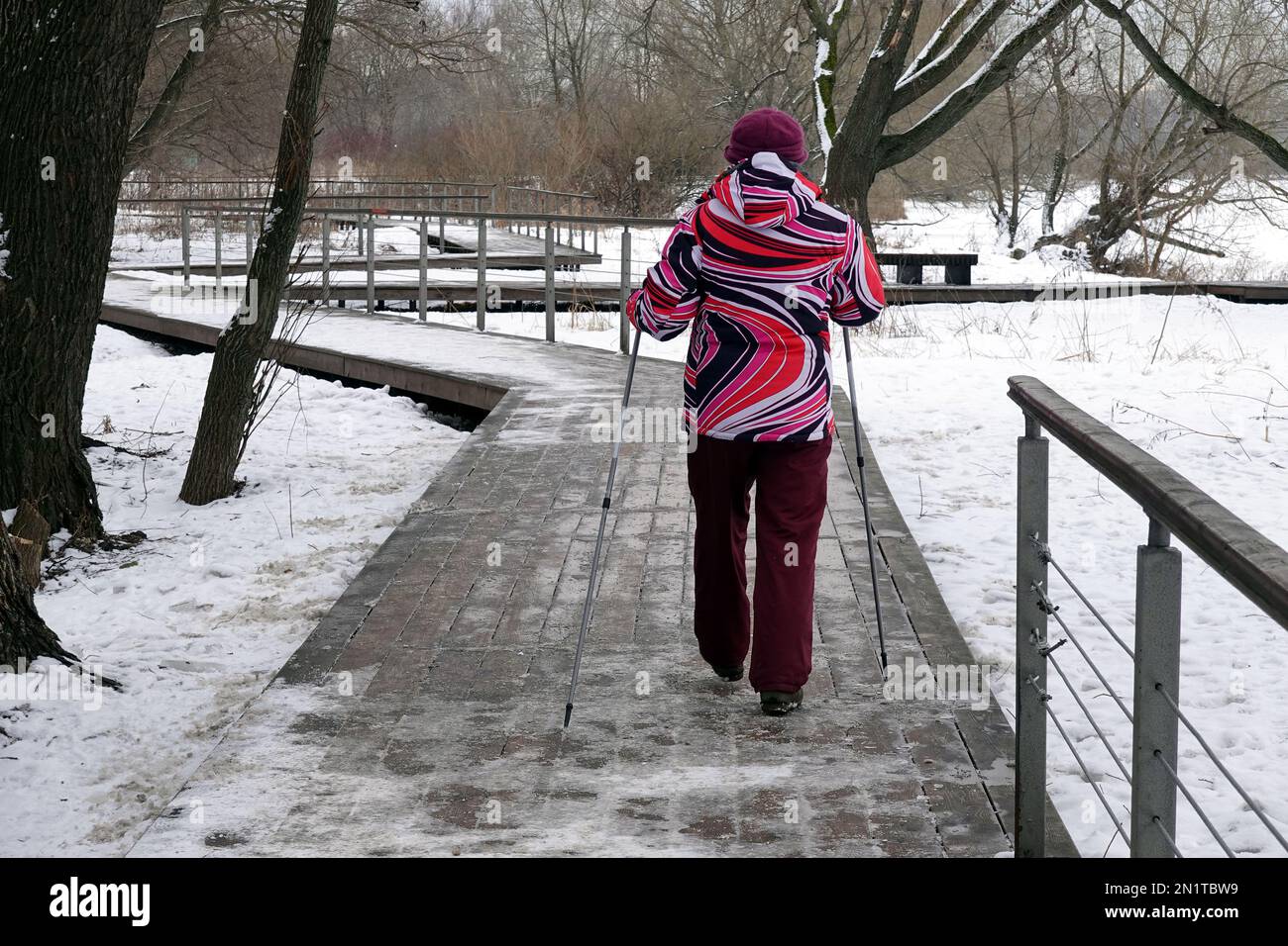 Donna adulta in giacca colorata moto nordic Walking nel parco invernale con due bastoni sportivi scandinavi vista dal retro Foto Stock