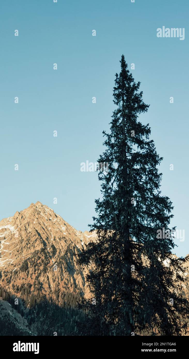 Alpi in Trentino-Alto Adige Foto Stock