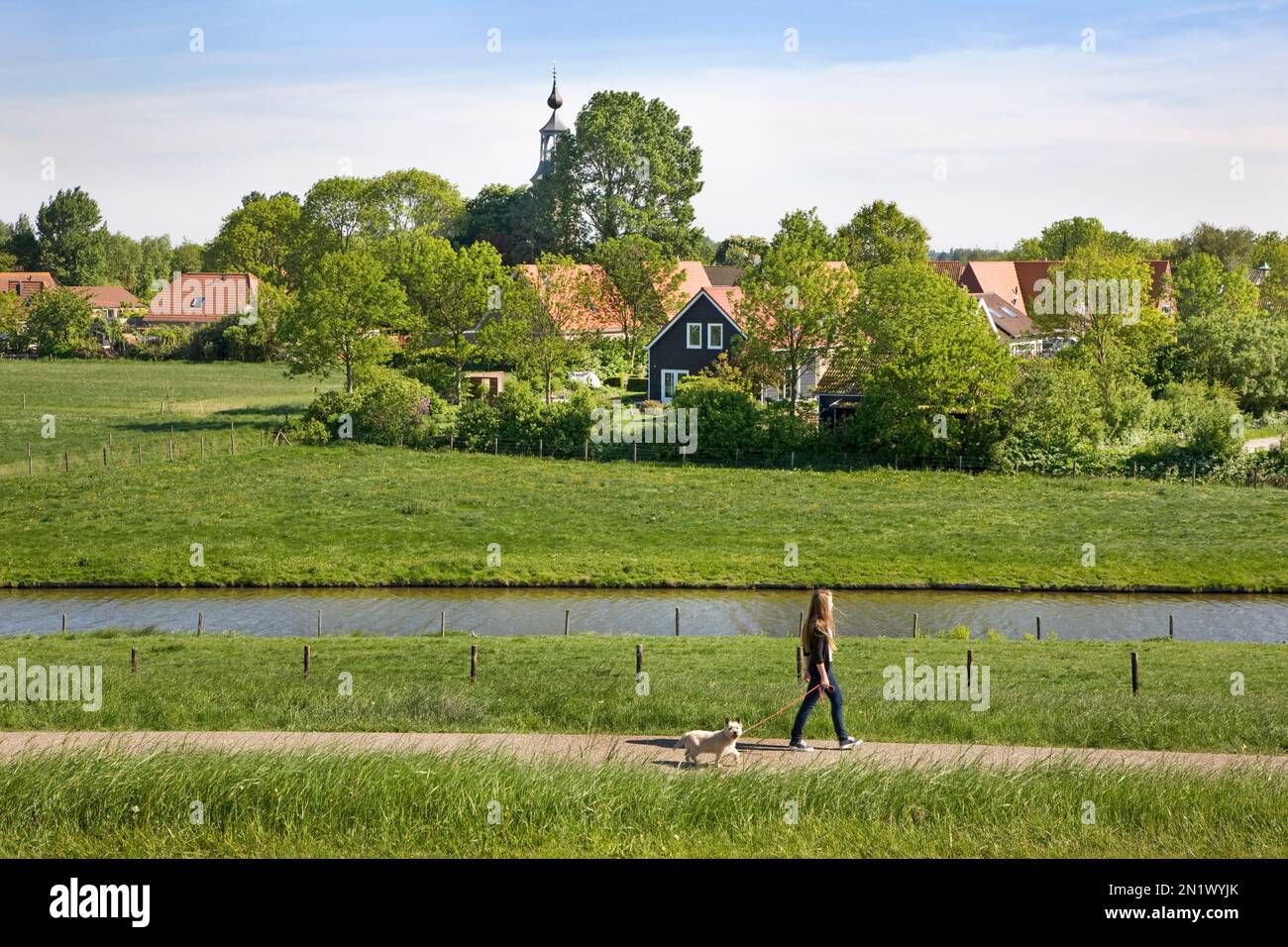 Ragazza che cammina con il cane a Kattendijke, va, Zeeland, Paesi Bassi Foto Stock