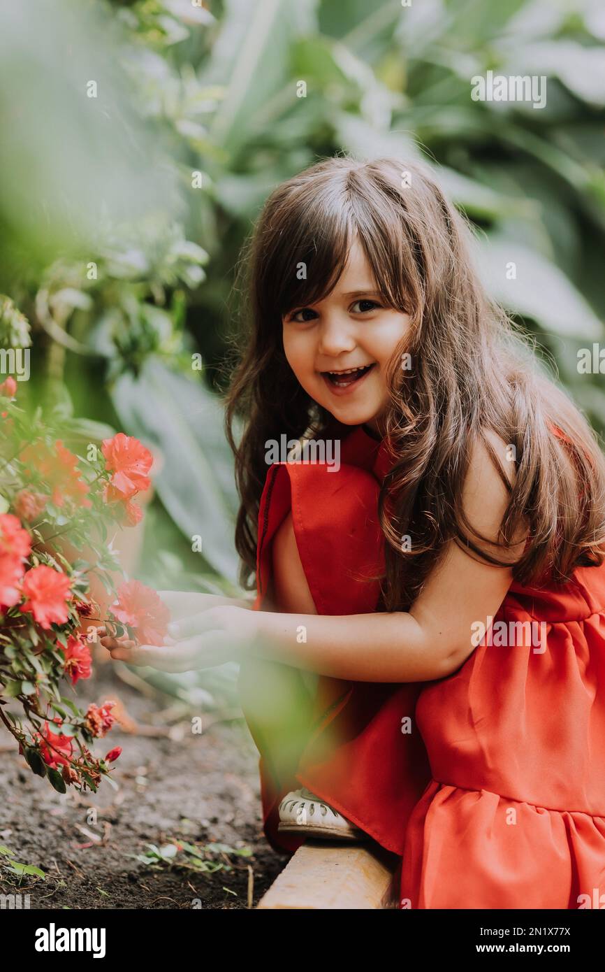 bella ragazza brunetta in un vestito rosso passeggiate in estate tra le  palme nel parco. Foto di alta qualità Foto stock - Alamy