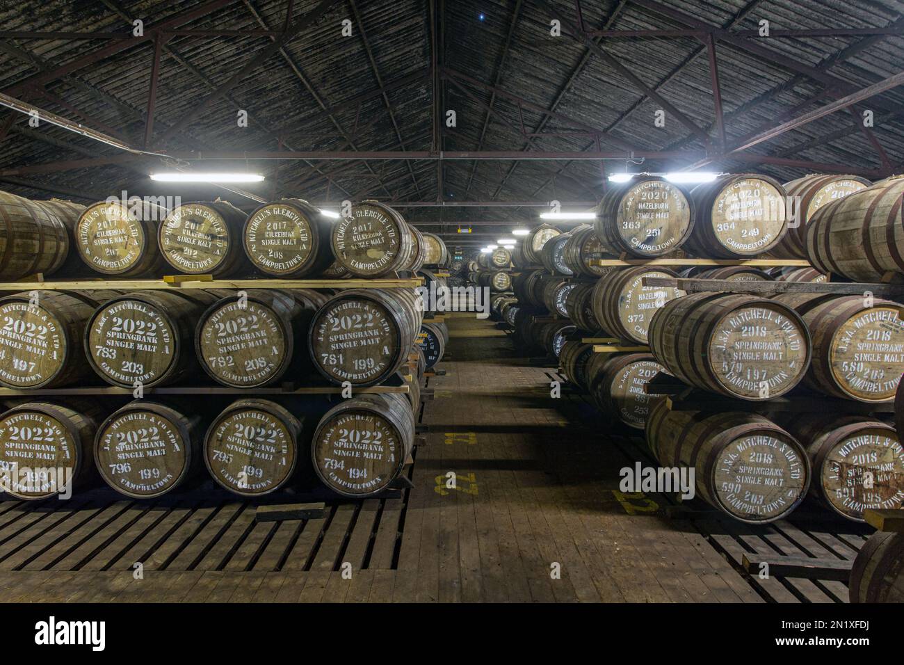 Springbank Distillery magazzino pieno di botti di whisky stagionate, Campbeltown, Argyll e Bute, Scozia, Regno Unito Foto Stock