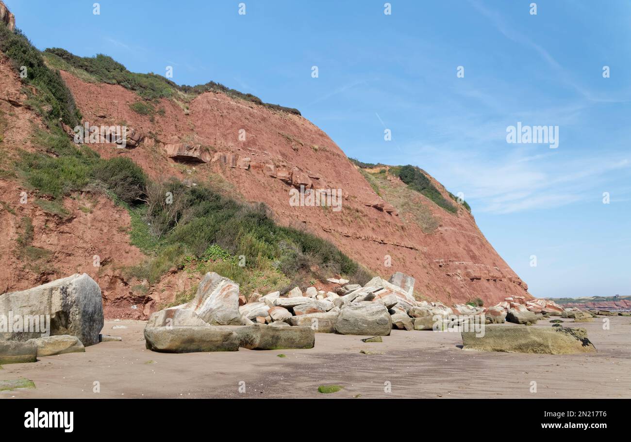 Eroso, crolla rocce costiere di arenaria rossa e rocce cadute tra Orcombe Point e Sandy Bay, Exmouth, Devon, Regno Unito, agosto. Foto Stock