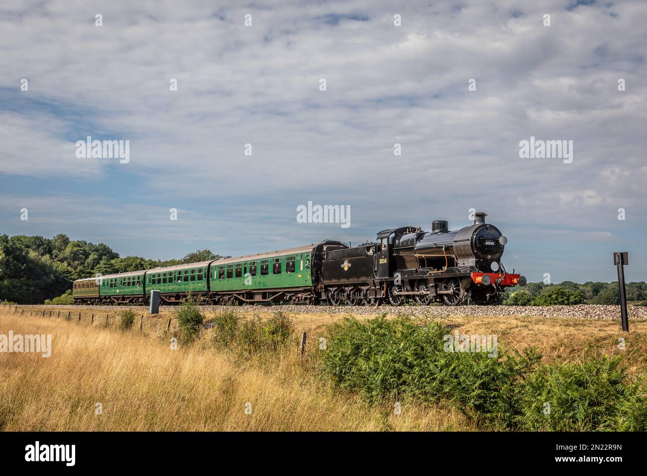 BR 'Q' classe 0-6-0 No. 30541 si avvicina a Horsted Keynes sulla Bluebell Railway Foto Stock