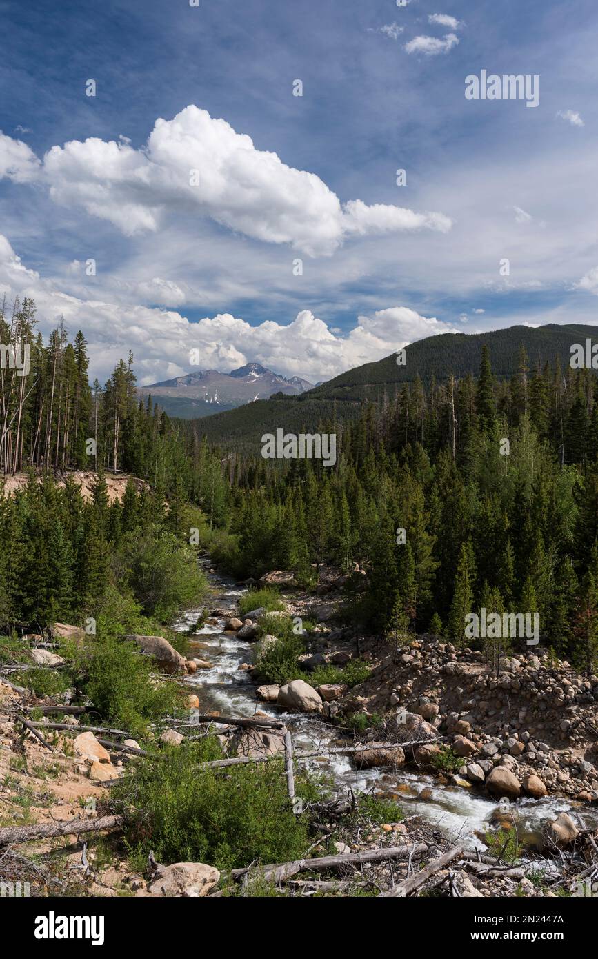 Longs Peak vista dal Lawn Lake Trail, Rocky Mountain National Park, Colorado. Foto Stock