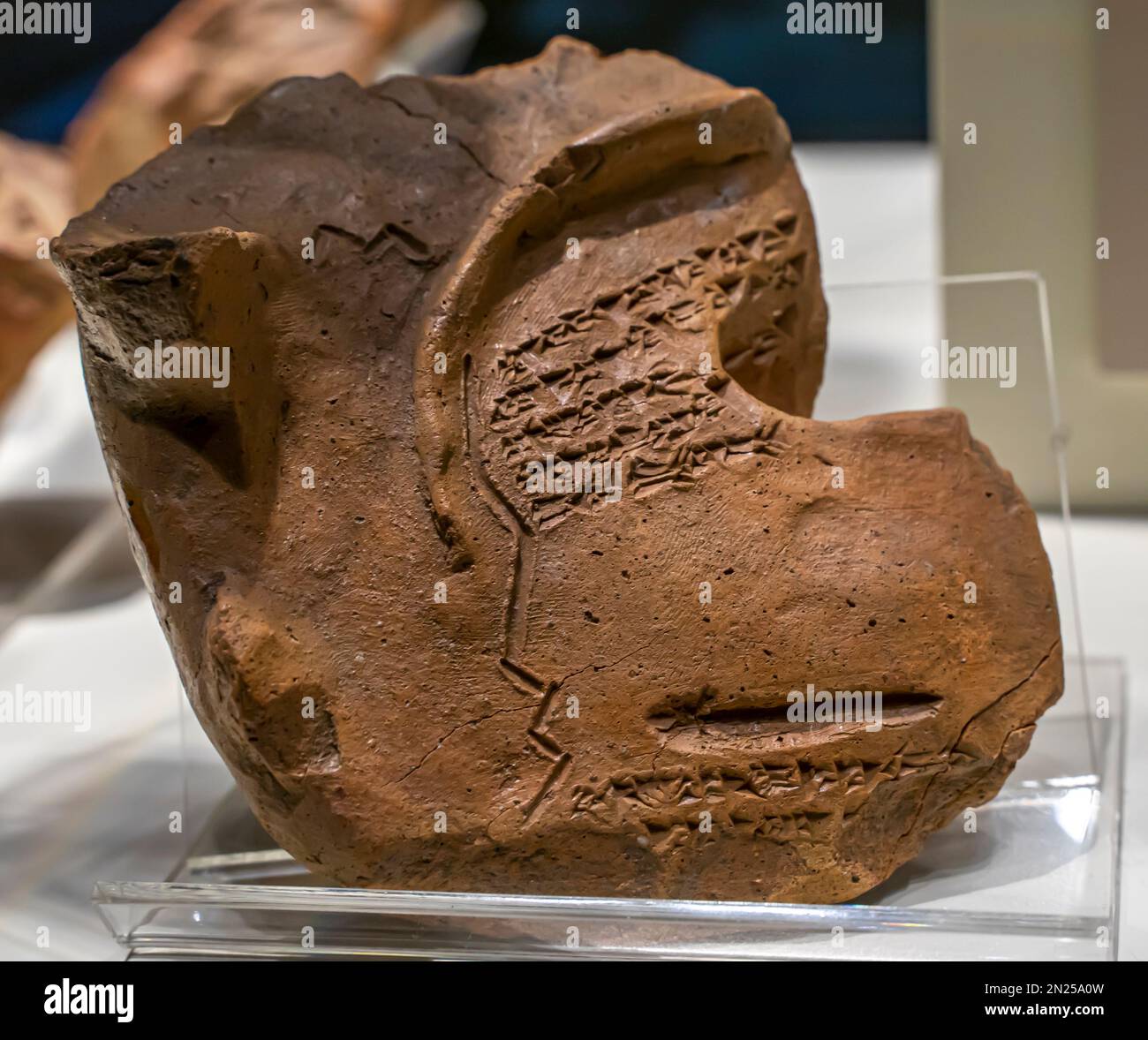 Antico racconto di fortuna del fegato con iscrizione a copione cuneiforme. le ptopezie sul fegato sono state scritte su compresse a forma di fegato. Impero ittita Foto Stock