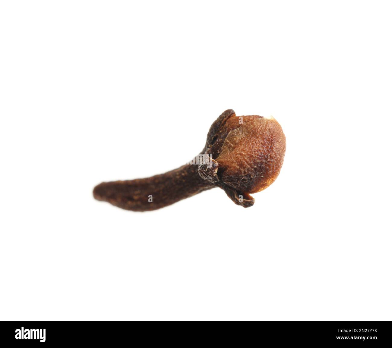 Chiodo di garofano asciutto isolato su bianco. Ingrediente VIN brulé Foto Stock