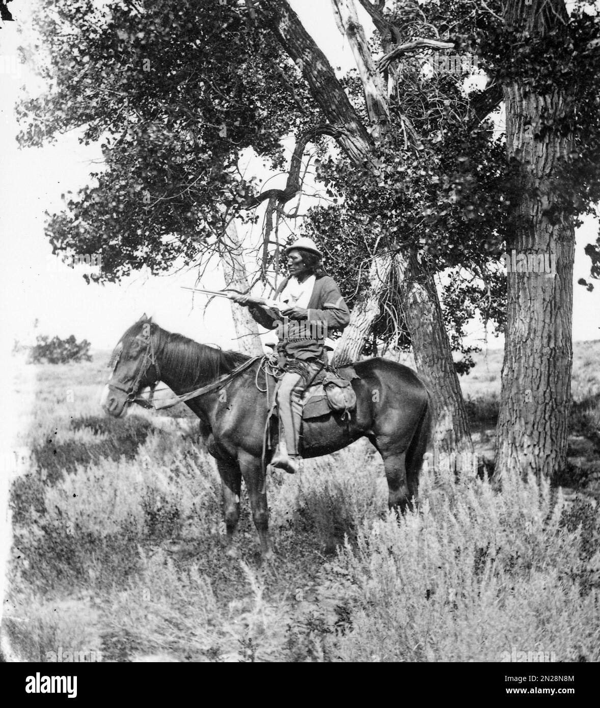 Bloody Knife, uno scout nell'esercito americano. Foto Stock