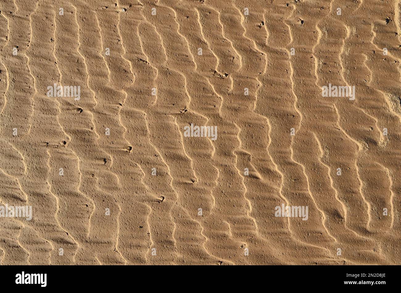 Formazione ondulata su suolo di argilla sulla riva del fiume dopo l'allagamento Foto Stock