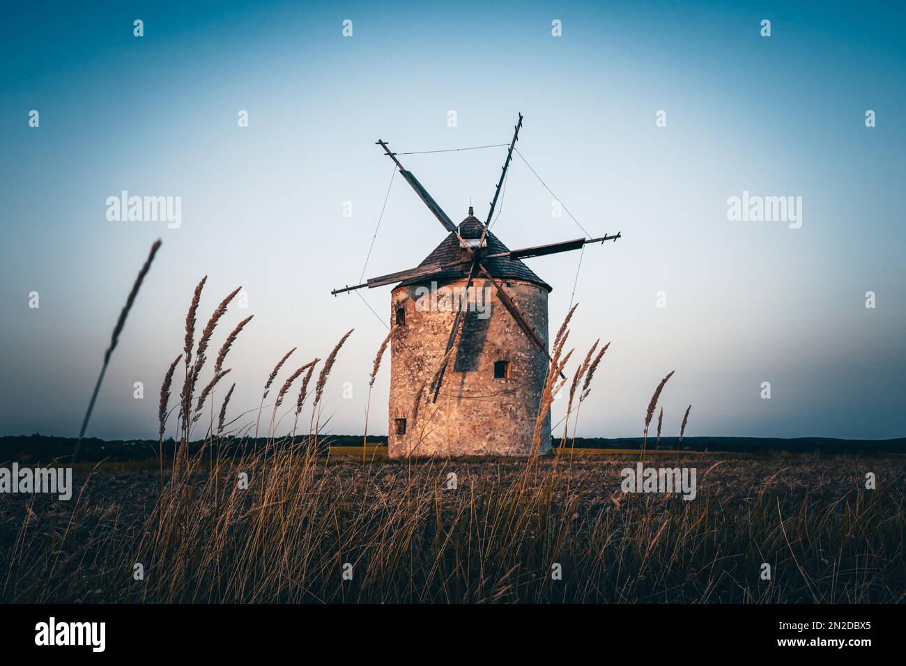 Il vecchio mulino di Tes al tramonto con gli ospiti, e un campo in primo piano. Mulino a vento in pietra e legno a Tez, Transdanubia, Balaton, Ungheria Foto Stock