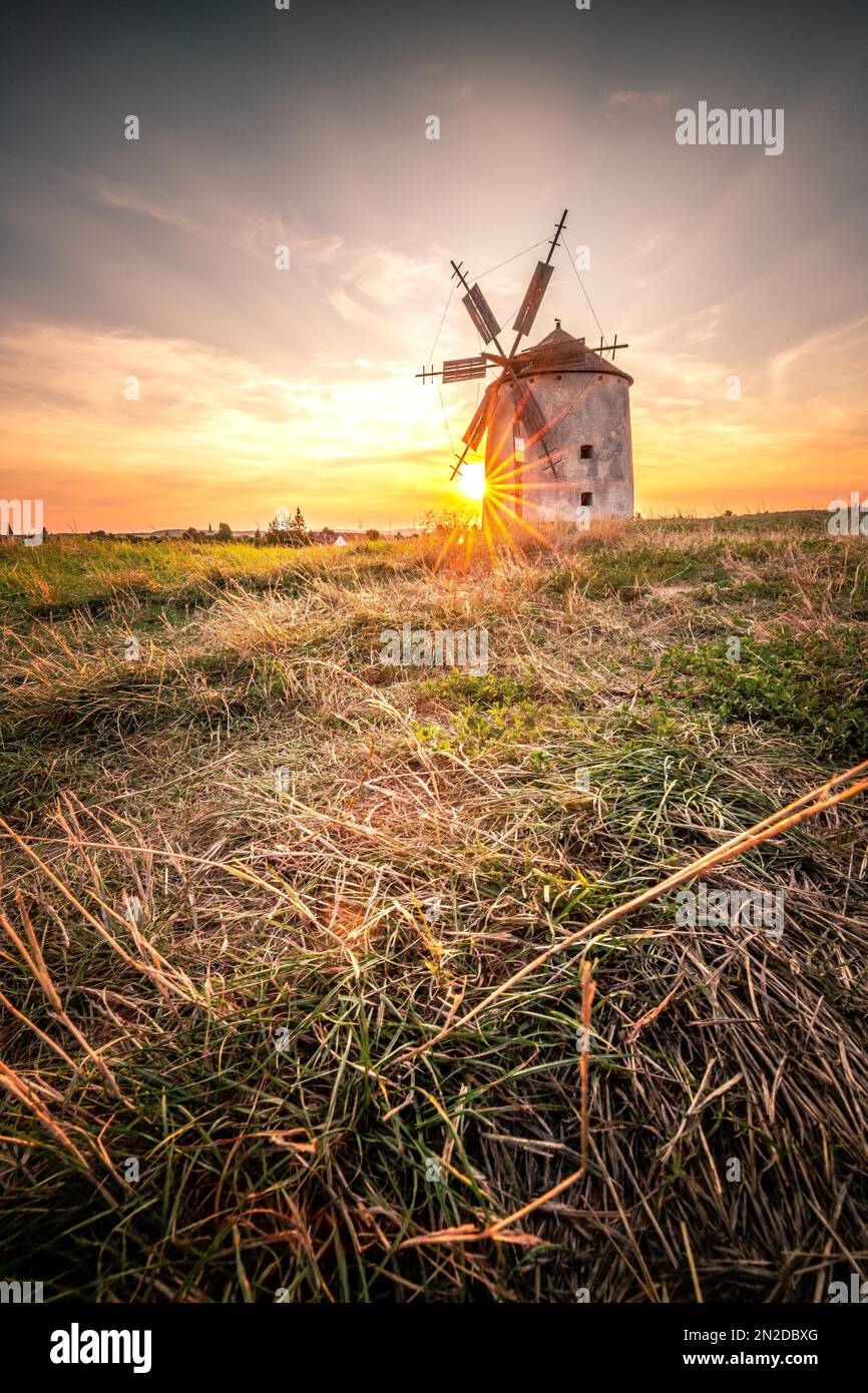 Il vecchio mulino di Tes al tramonto con gli ospiti, e un campo in primo piano. Mulino a vento in pietra e legno a Tez, Transdanubia, Balaton, Ungheria Foto Stock