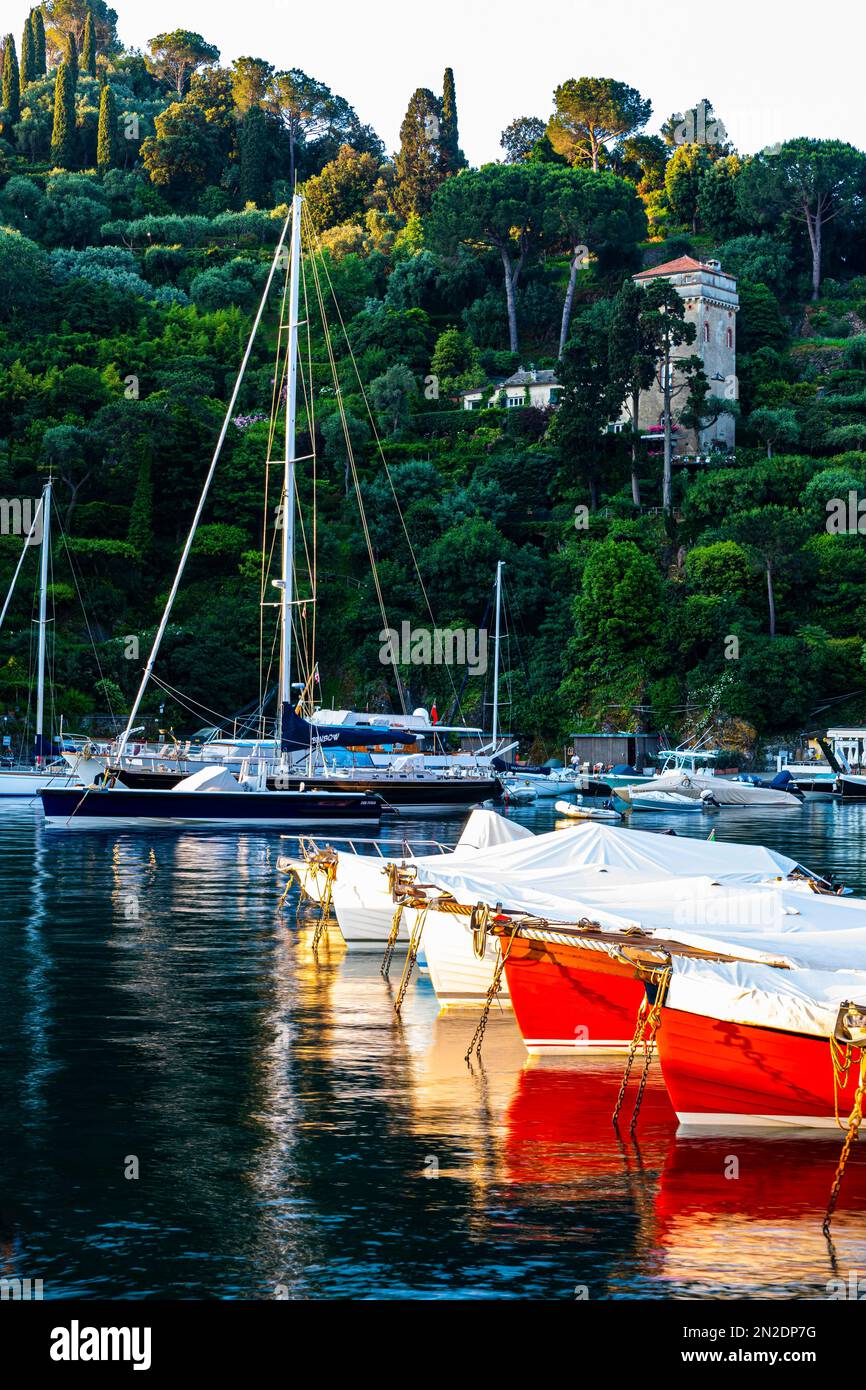 Barche a vela e barche ancorate al porto di Portofino, Portofino, Liguria, Italia Foto Stock