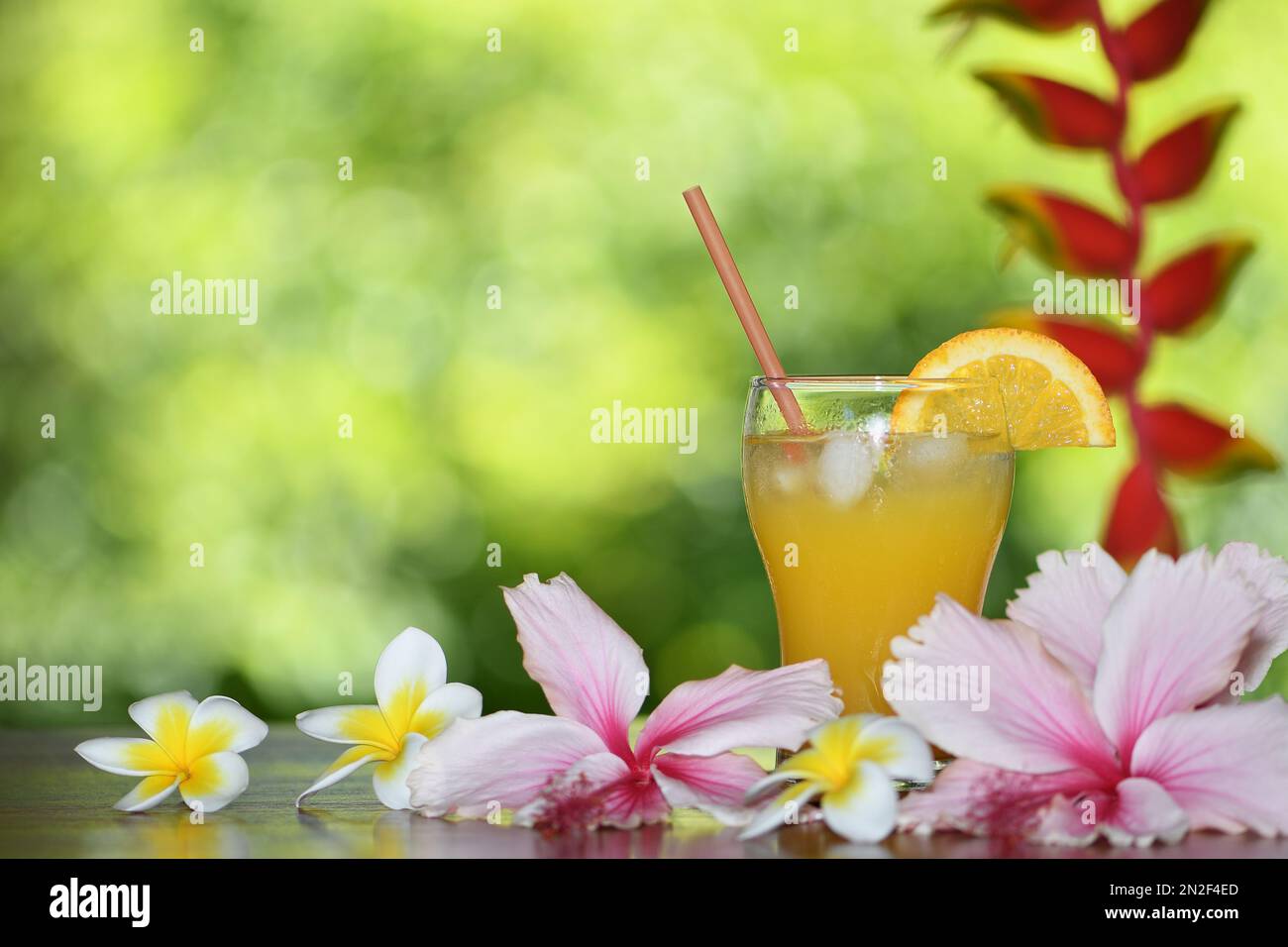 Un bicchiere di succo d'arancia freddo con una cannuccia e una fetta d'arancia, a destra della cornice, in un ambiente tropicale con fiori di heliconia, hibiscus e frangipani Foto Stock