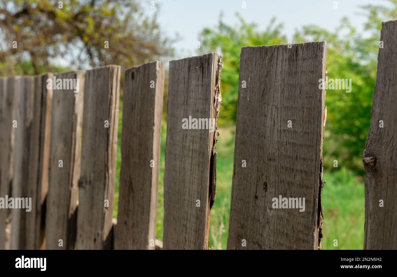 Primo piano della recinzione in legno in una giornata di sole estate Foto Stock