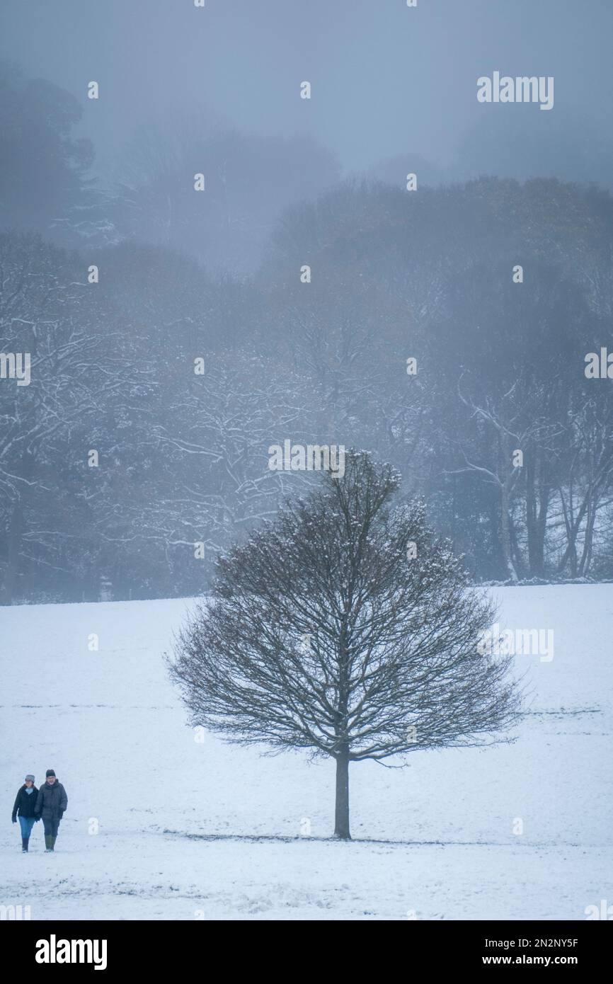 Una coppia che cammina attraverso un campo innevato in un parco boschivo nel Regno Unito meridionale. Unico albero senza foglie. Neve a terra. Boschi in background. Foto Stock