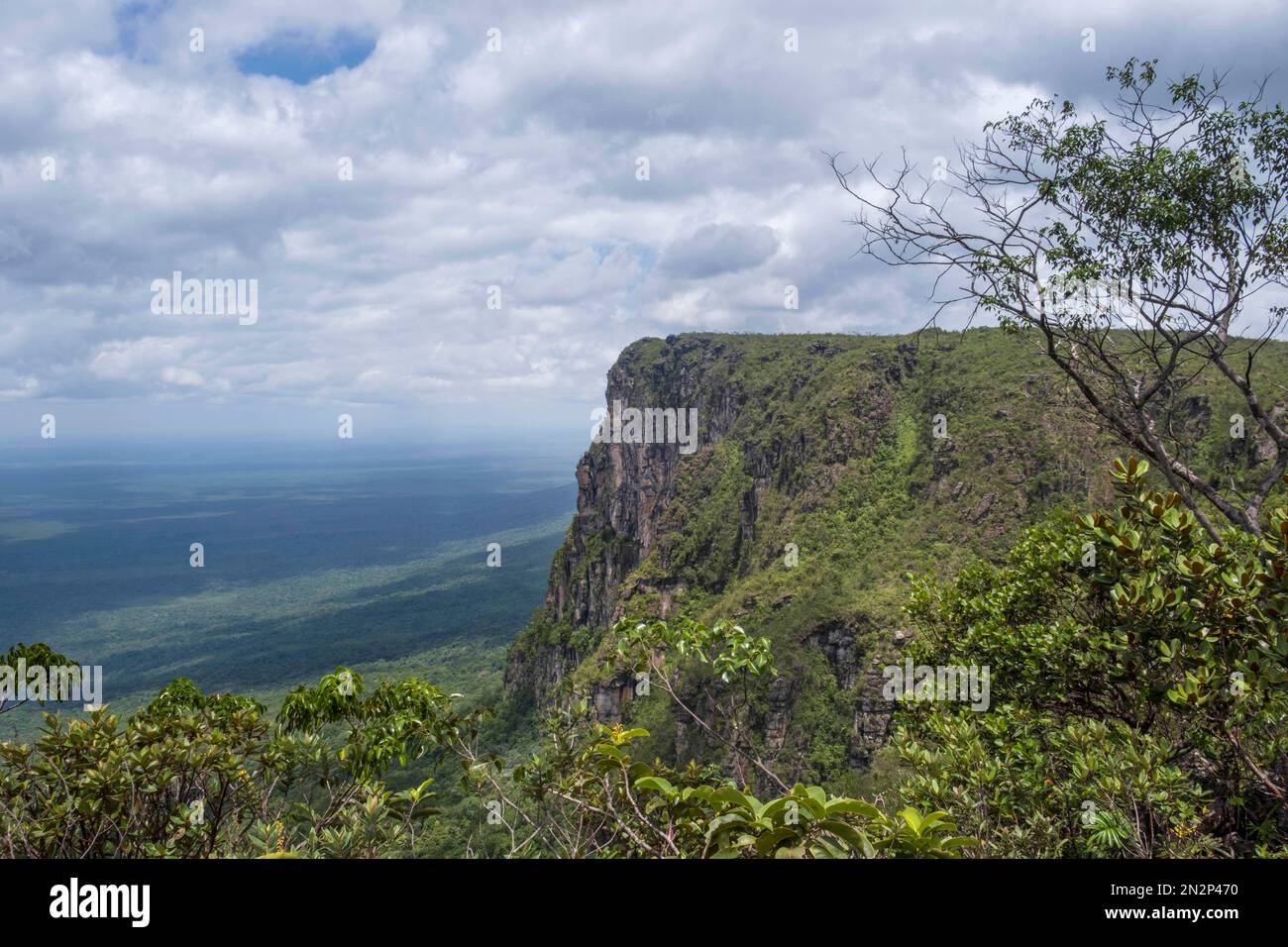 Araca montagna, un tepui nel remoto Serra do Araca state Park, Guiana Shield, Amazonas, Brasile Foto Stock