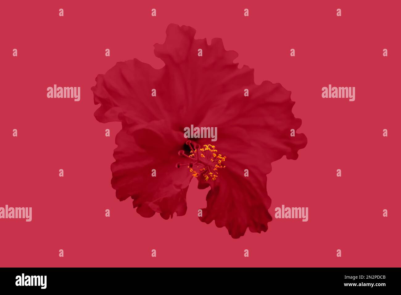 sfondo del desktop astratto rosso