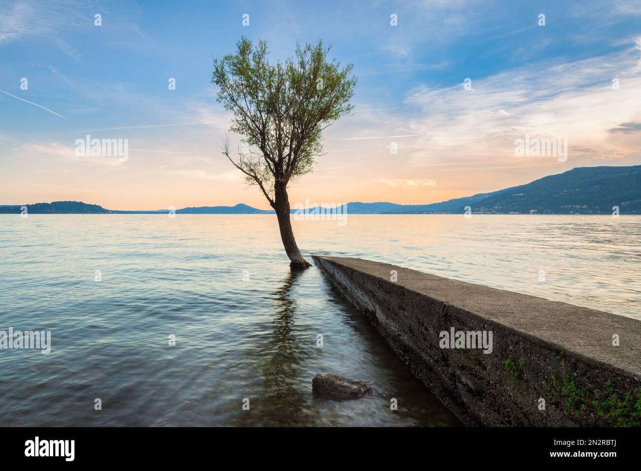Lone albero e muro ai margini del Lago maggiore al tramonto, Lombardia, Italia Foto Stock