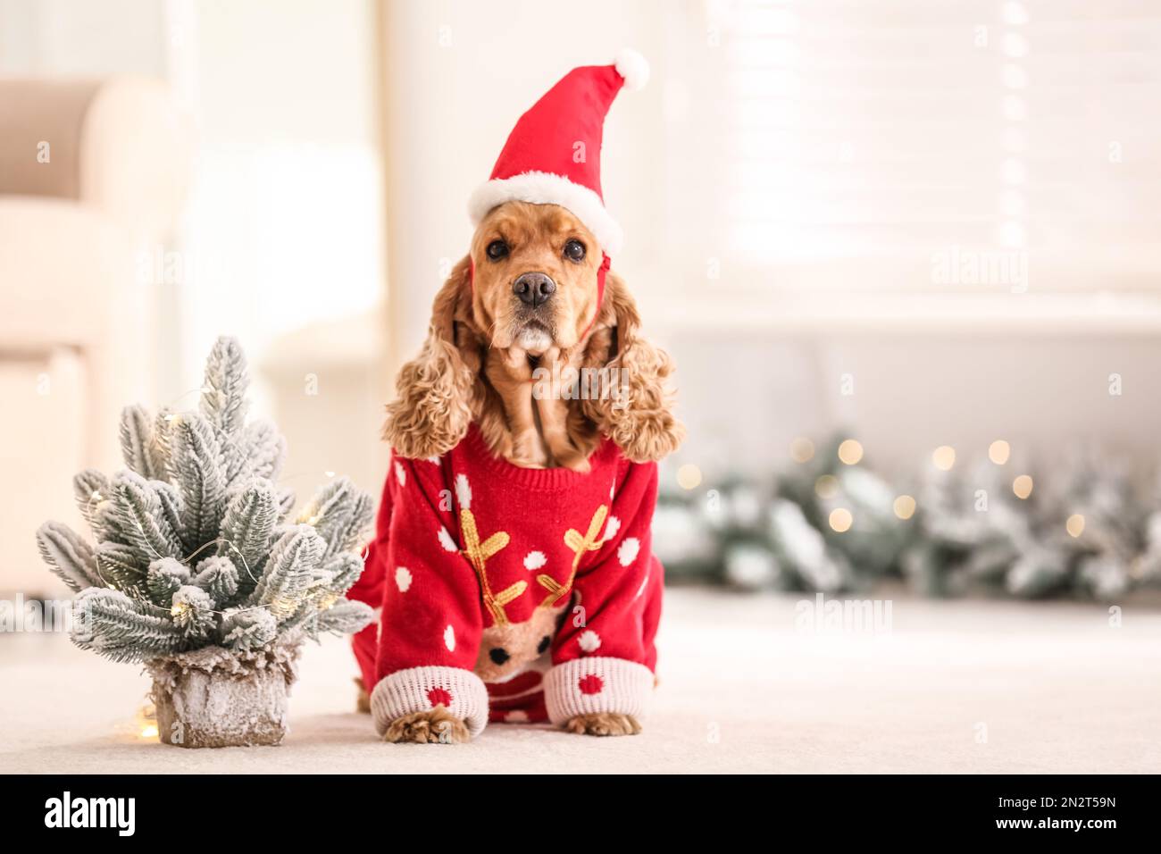 Maglione Di Natale Per Uomo E Donna Con Cocker Spaniel &ndash; Felpa Rossa Babbo Natale, Taglia Unica