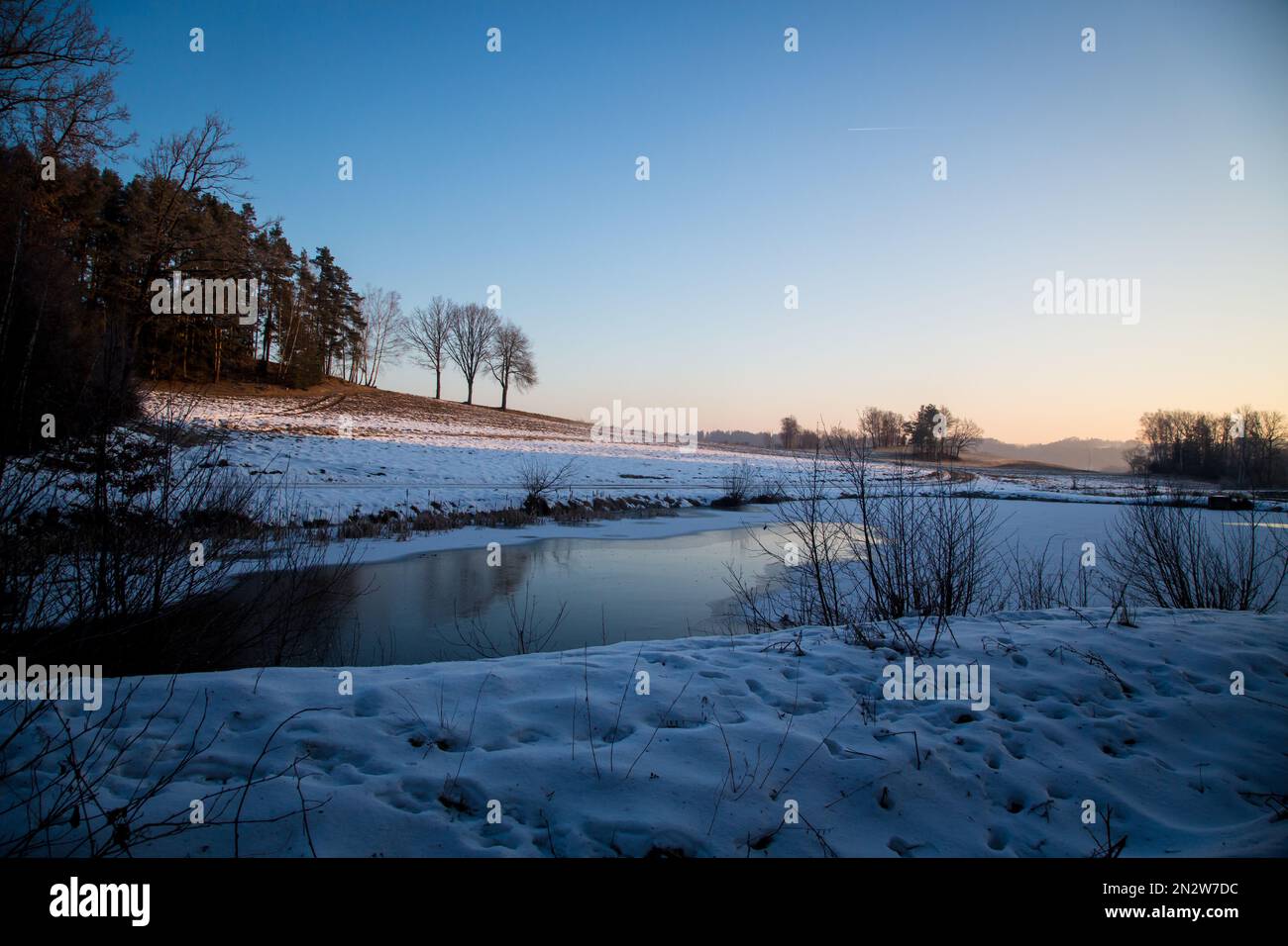 Piccolo laghetto di carpe ghiacciate in una fredda mattinata invernale, Waldviertel / Austria Foto Stock