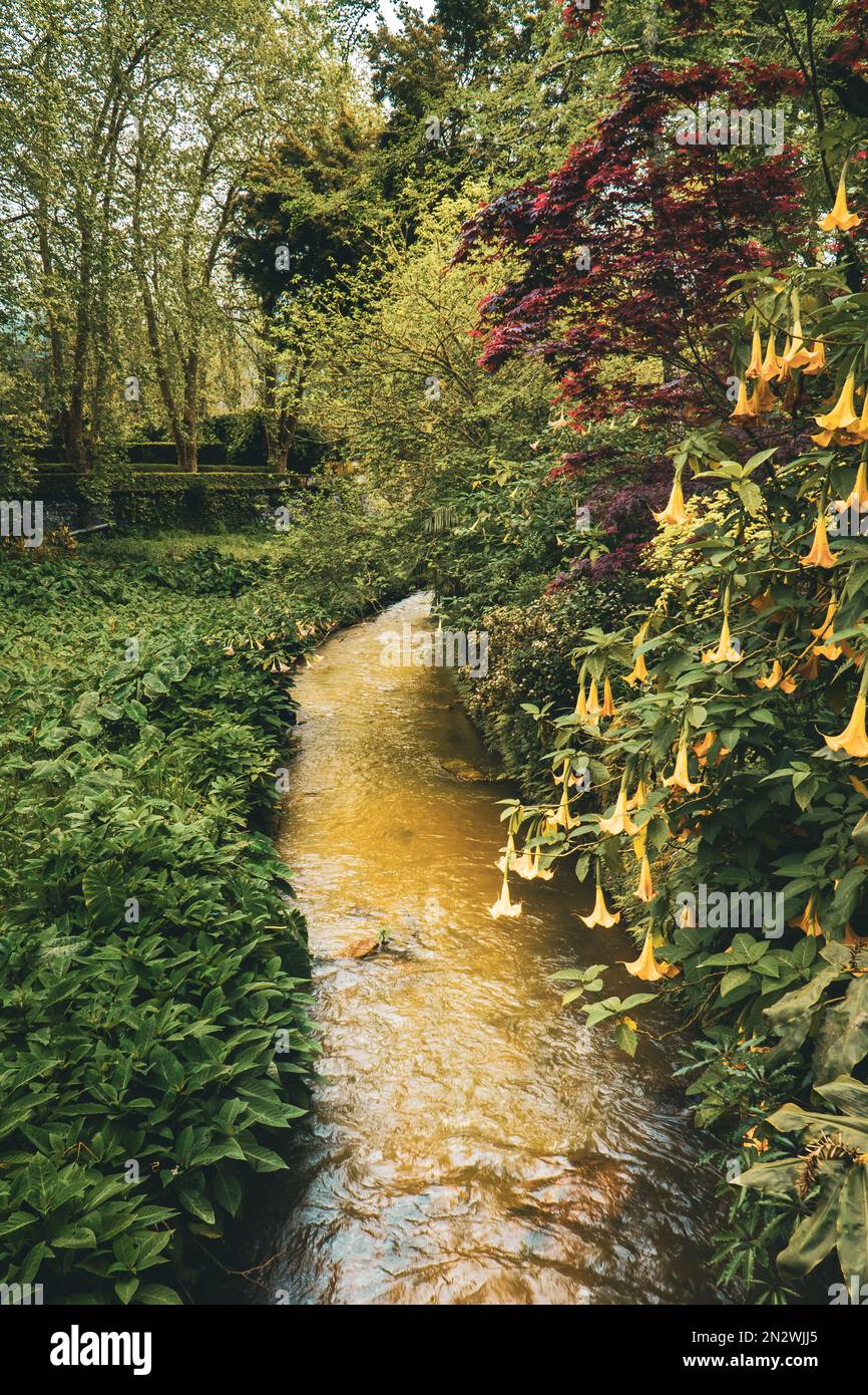 Azzorre Giardini Fiume Foto Stock