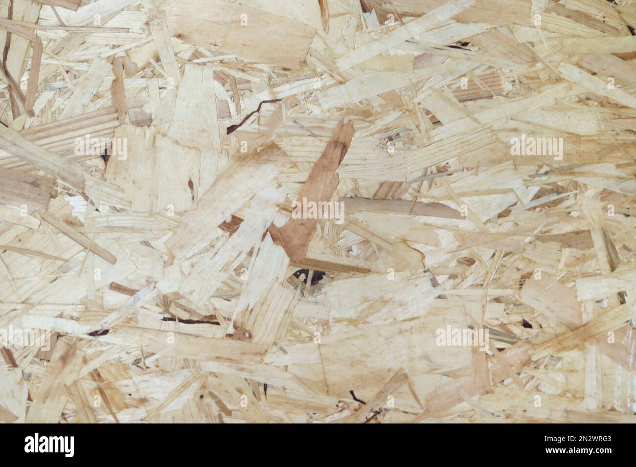 wafer board osb legno texture sfondo fresco grezzo Foto Stock