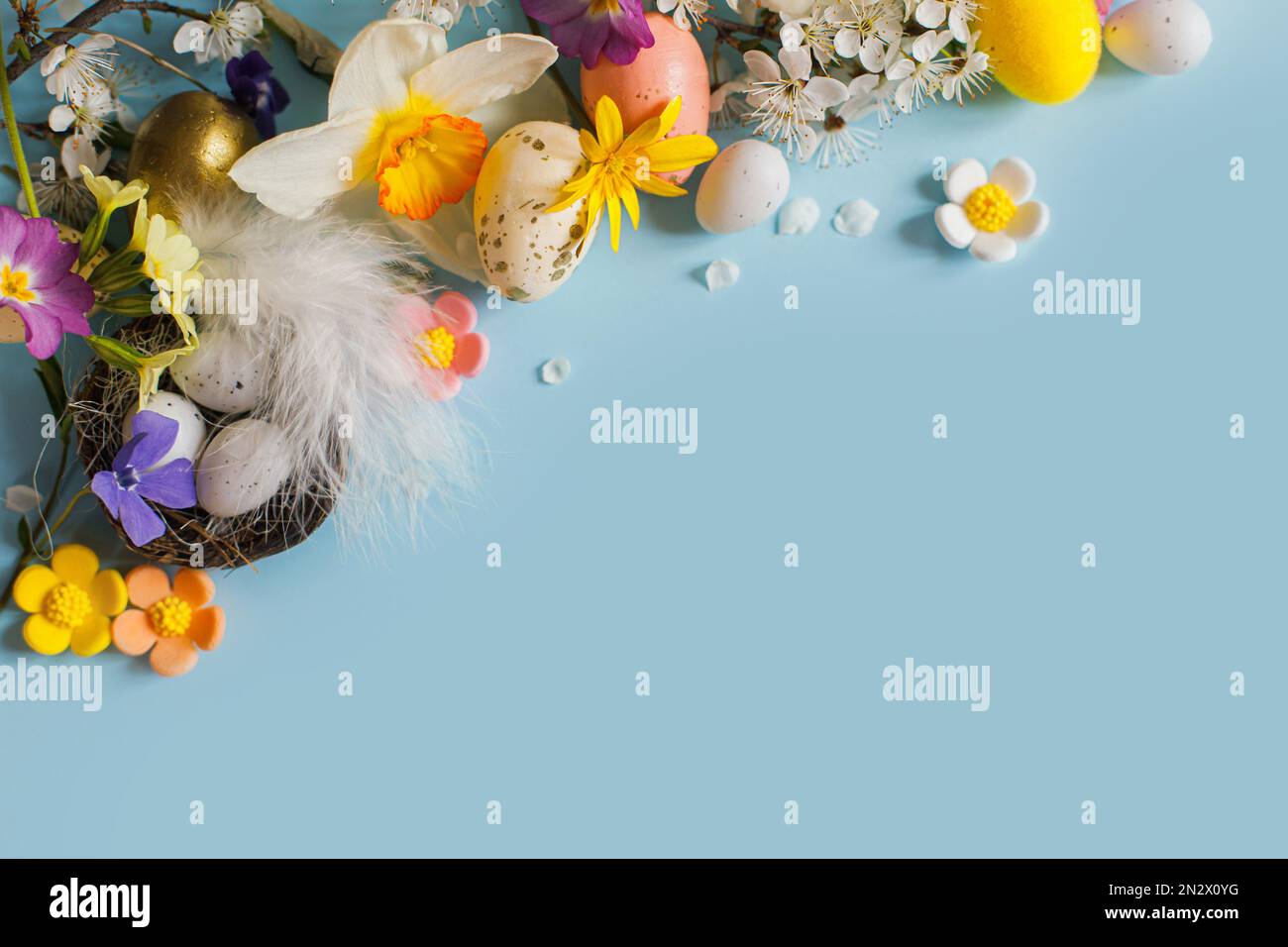 Buona Pasqua! Uova di Pasqua in nido, fiori colorati e petali di ciliegia  fiorente piatto giacere su sfondo blu. Modello festivo elegante con spazio  per te Foto stock - Alamy