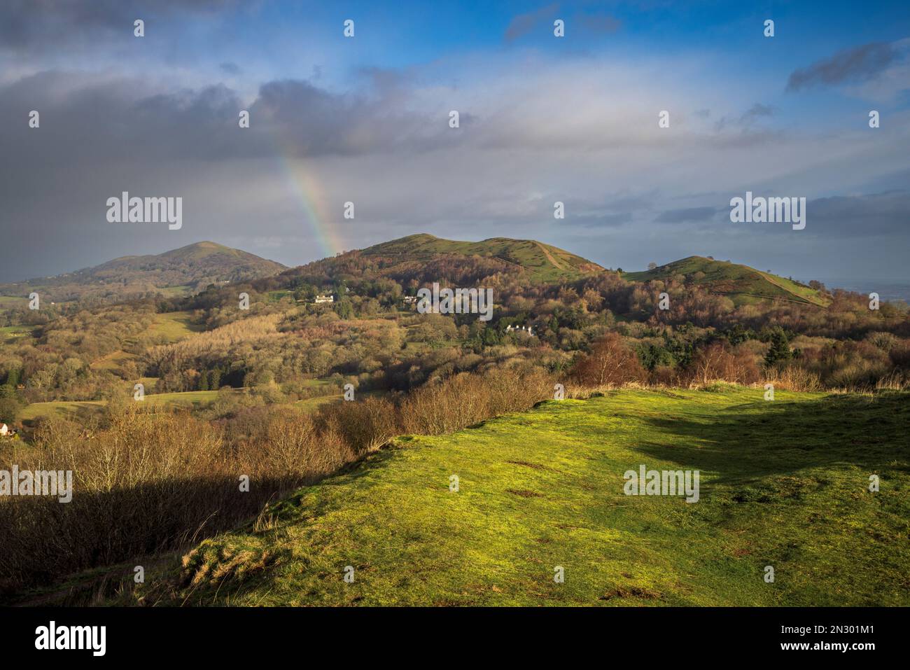 A sud dai bastioni inferiori di British Camp Iron Age Hillfort, Malvern Hills, Herefordshire / Worcestershire, Inghilterra Foto Stock