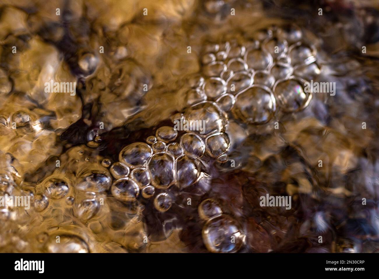 Bolle e foglie nel ruscello nei boschi Foto Stock