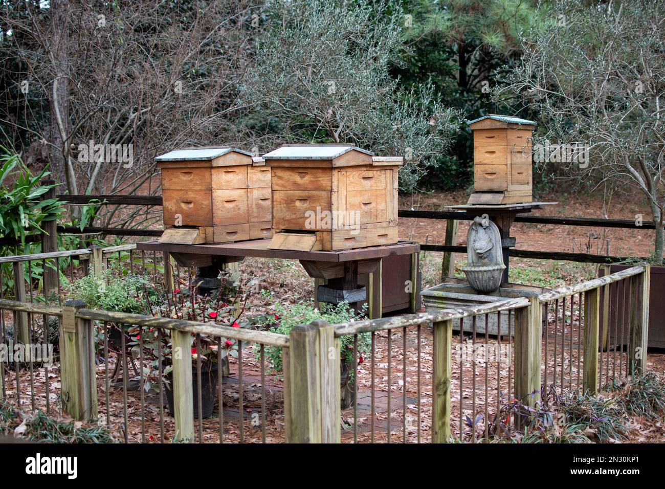 Alveari di legno con api mellifere. Apicoltura Foto Stock