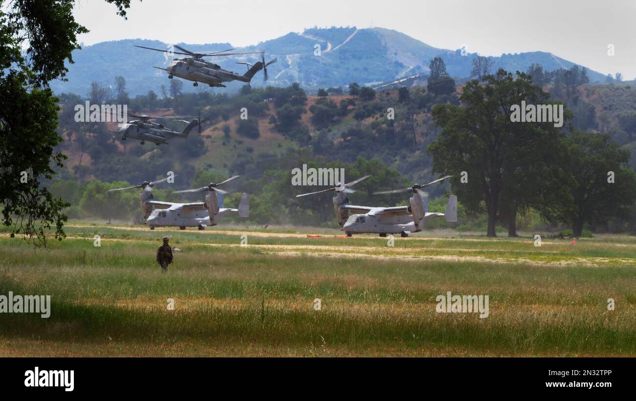 13th Marine Expeditionary Unit conduce l'addestramento con una varietà di elicotteri, tra cui MV-22 Osprey su pista di terra, Fort Hunter Liggett, CA. Foto Stock