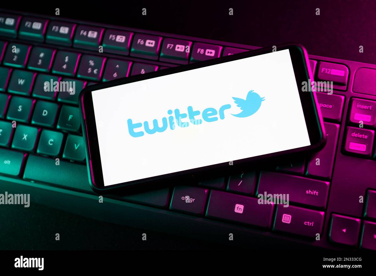 In questa illustrazione della foto un logo Twitter vede visualizzato su uno smartphone. Foto Stock