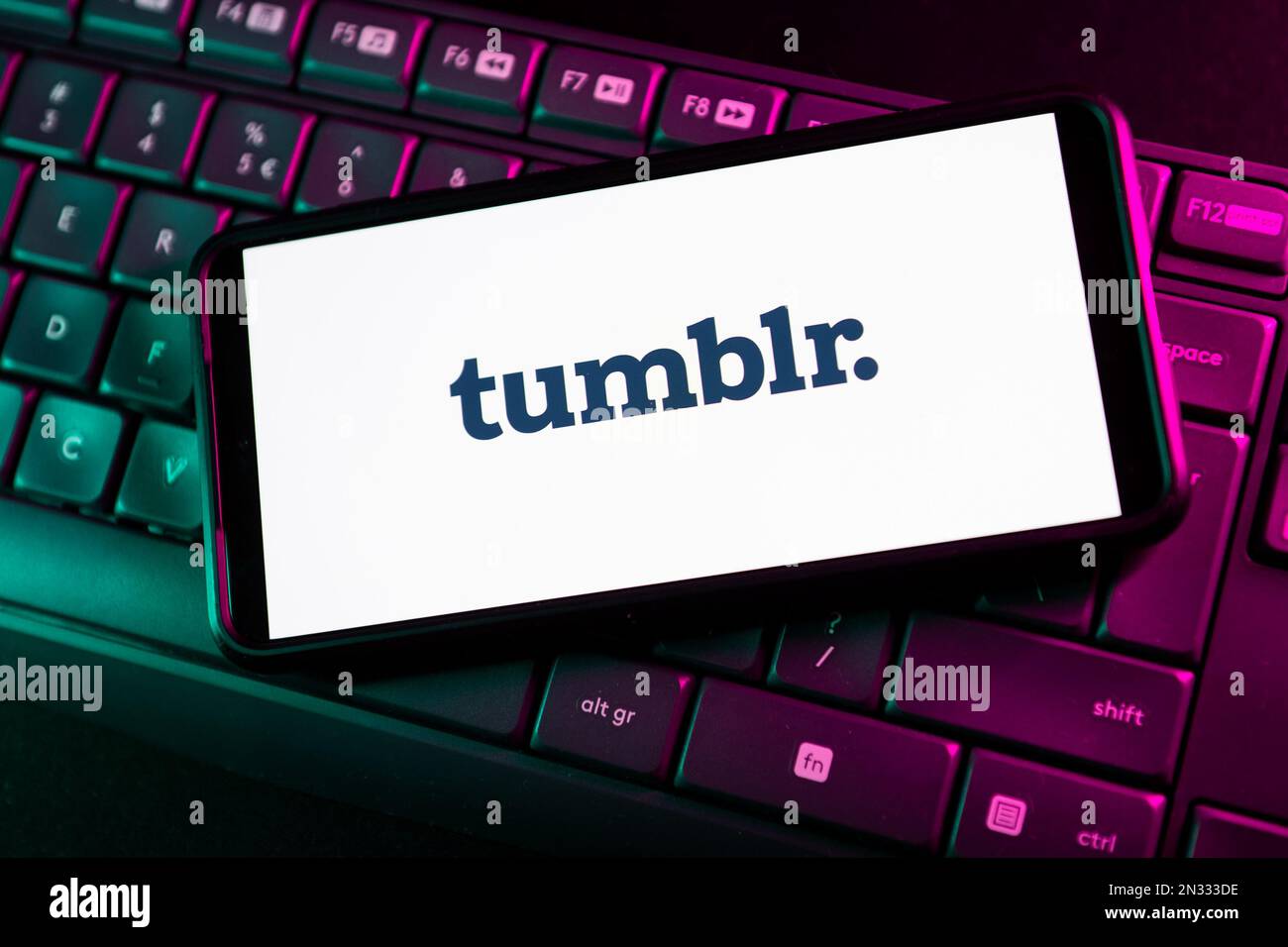 In questa immagine viene visualizzato un logo Tumblr sullo smartphone. Foto Stock