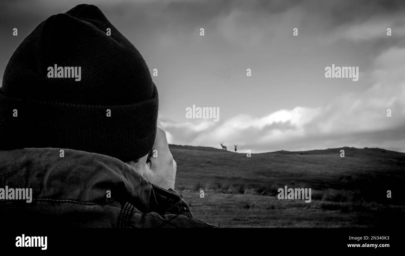 Un uomo che fotografa due cervi rossi negli altopiani della Scozia Foto Stock